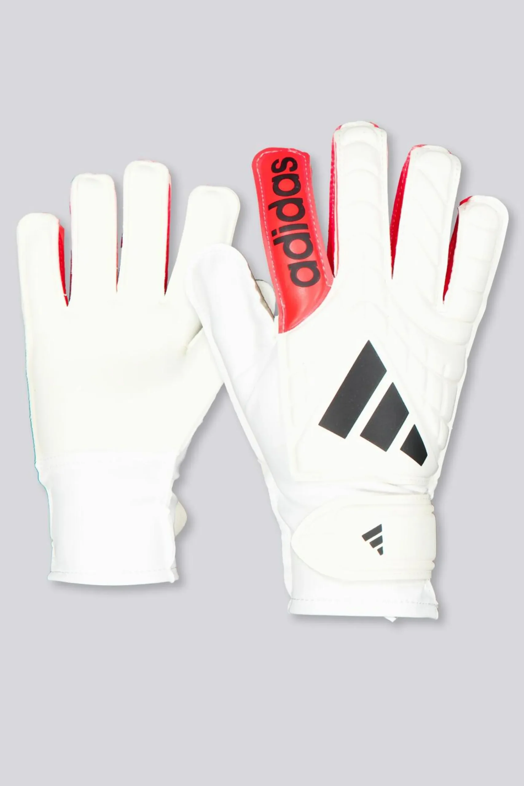adidas Copa Gl Clb