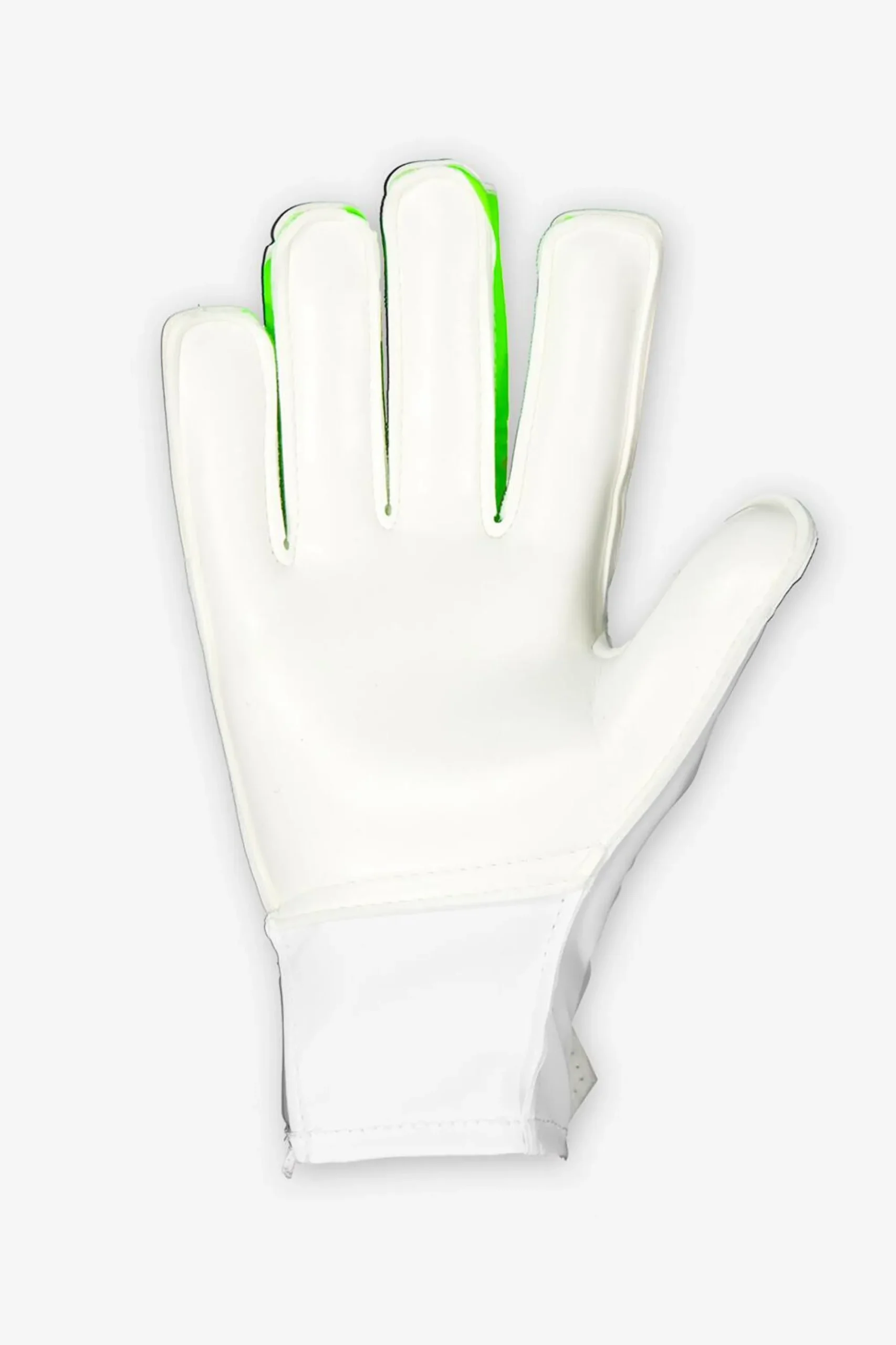 adidas Predator