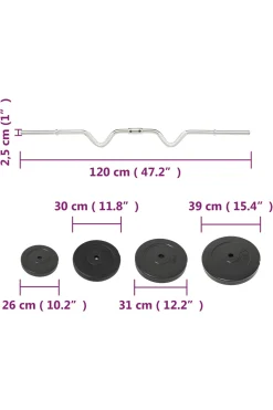 Vidaxl Barra Com Disco 2.5 X 120 CM
