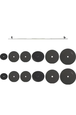 Vidaxl Barra Com Disco 2.5x140 CM