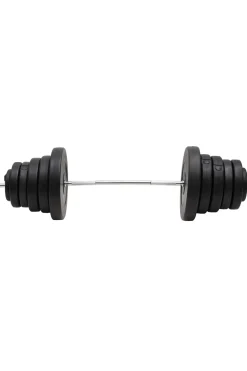 Vidaxl Barra Com Disco 2.5x140 CM