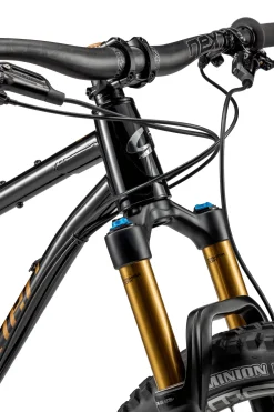 Niner Biciceta ontanha ir