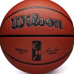 Wilson Bola De Basquetebol NBA Authentic City Chicago