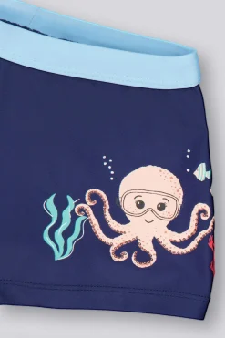 Ankor Boxers