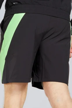 Puma Caçõe
