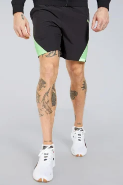 Puma Caçõe
