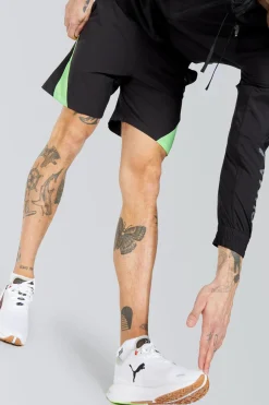 Puma Caçõe