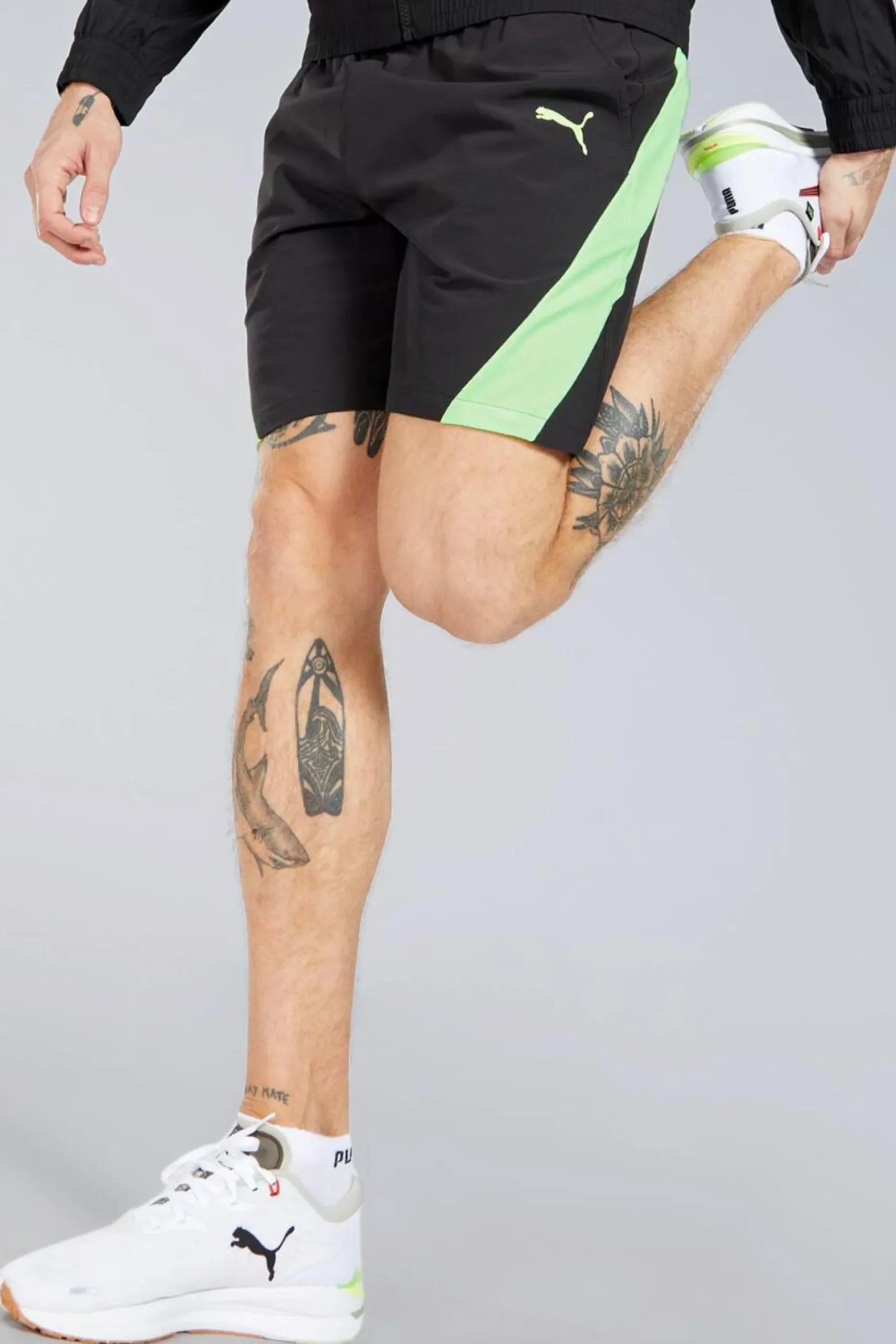 Puma Caçõe