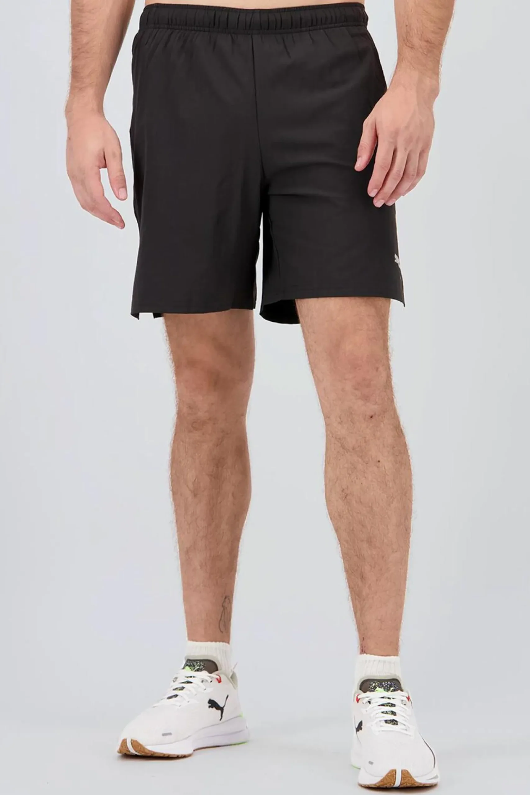Puma Caçõe