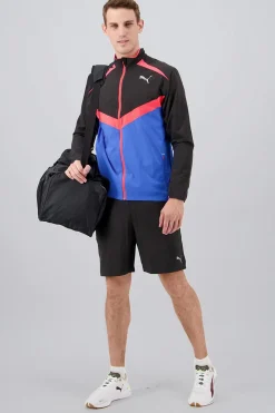 Puma Caçõe