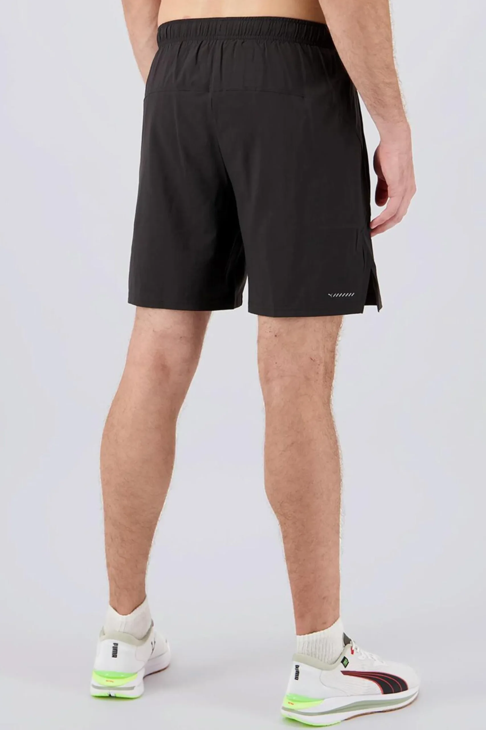 Puma Caçõe