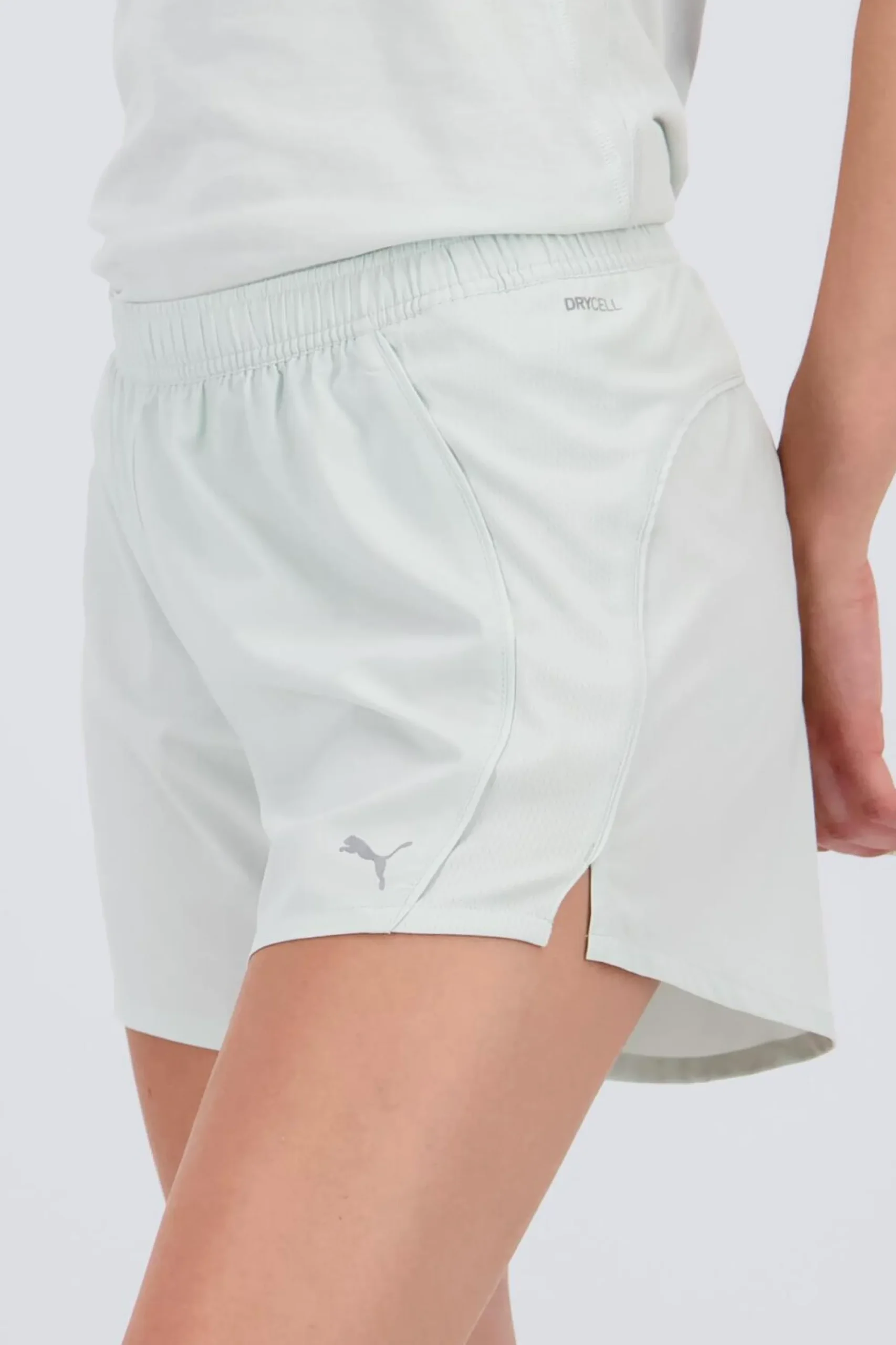 Puma Caçõe