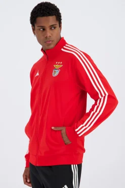 adidas Caaco Benfica 25/26