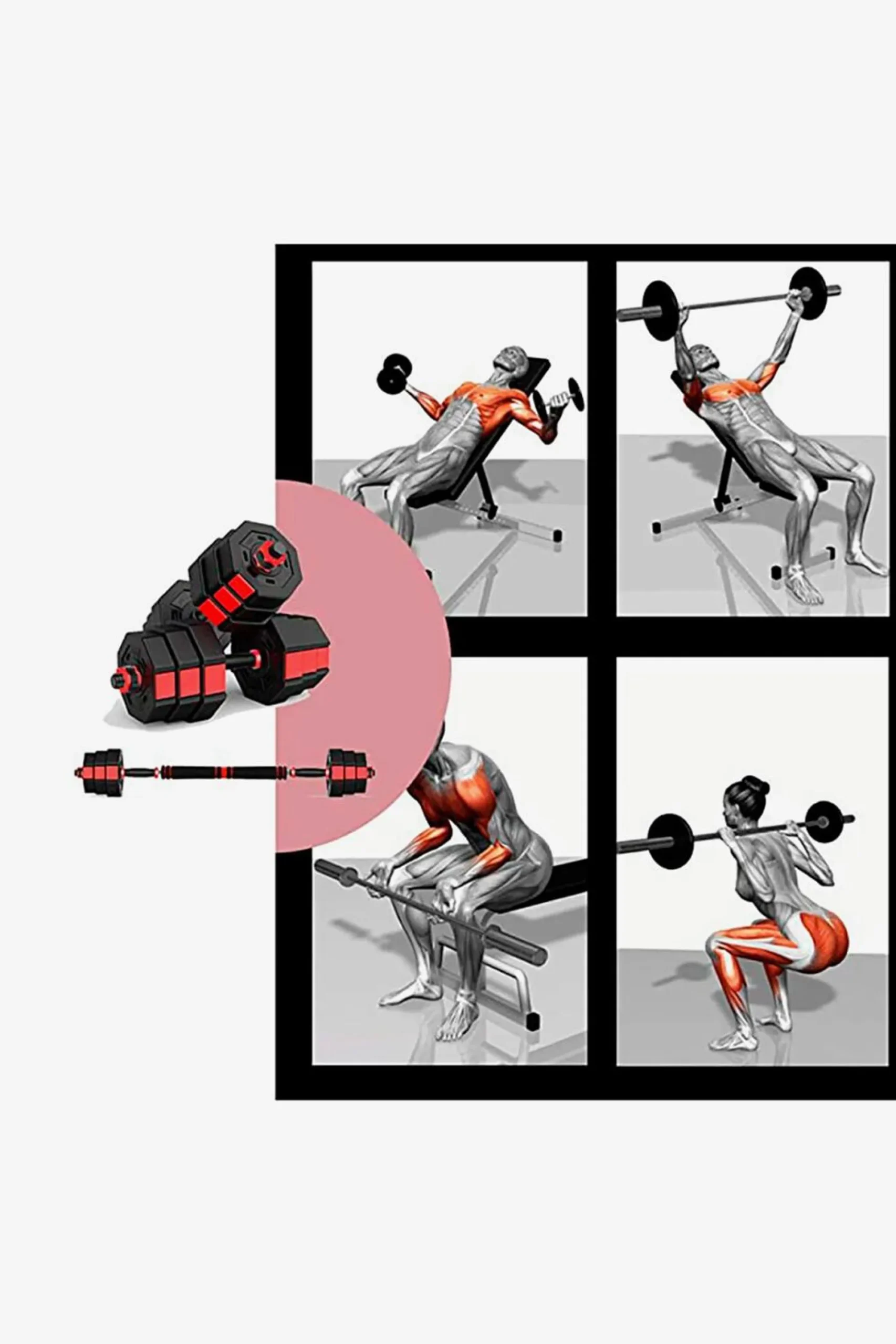 Fitness Tech Halteres
