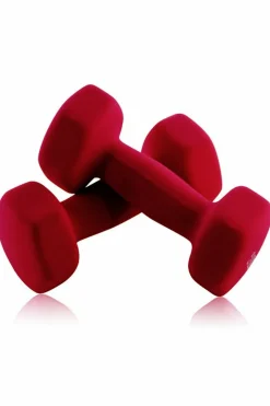 Joluvi Halteres 236464-099 2,5 Kg