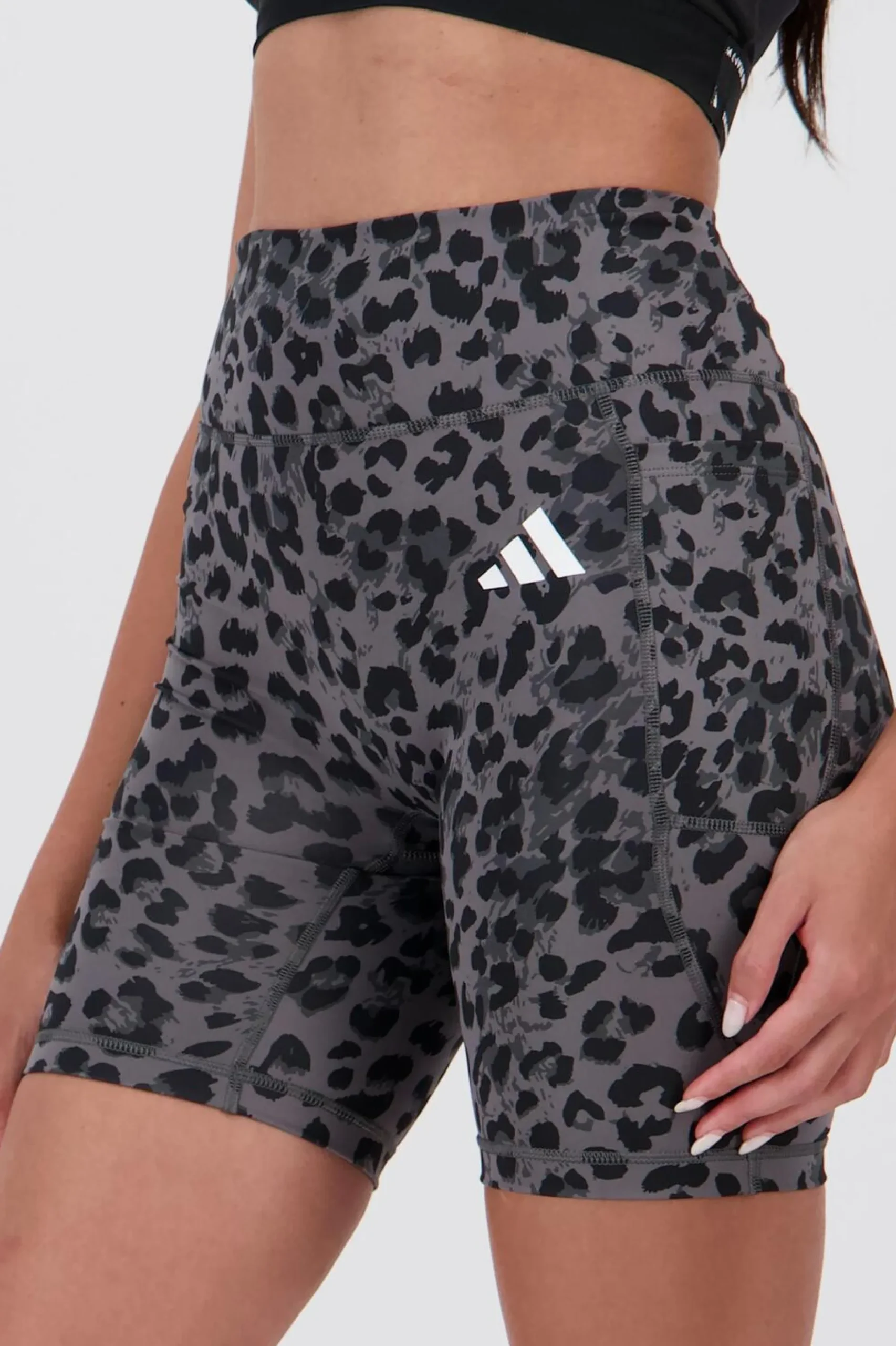 adidas egging Curta