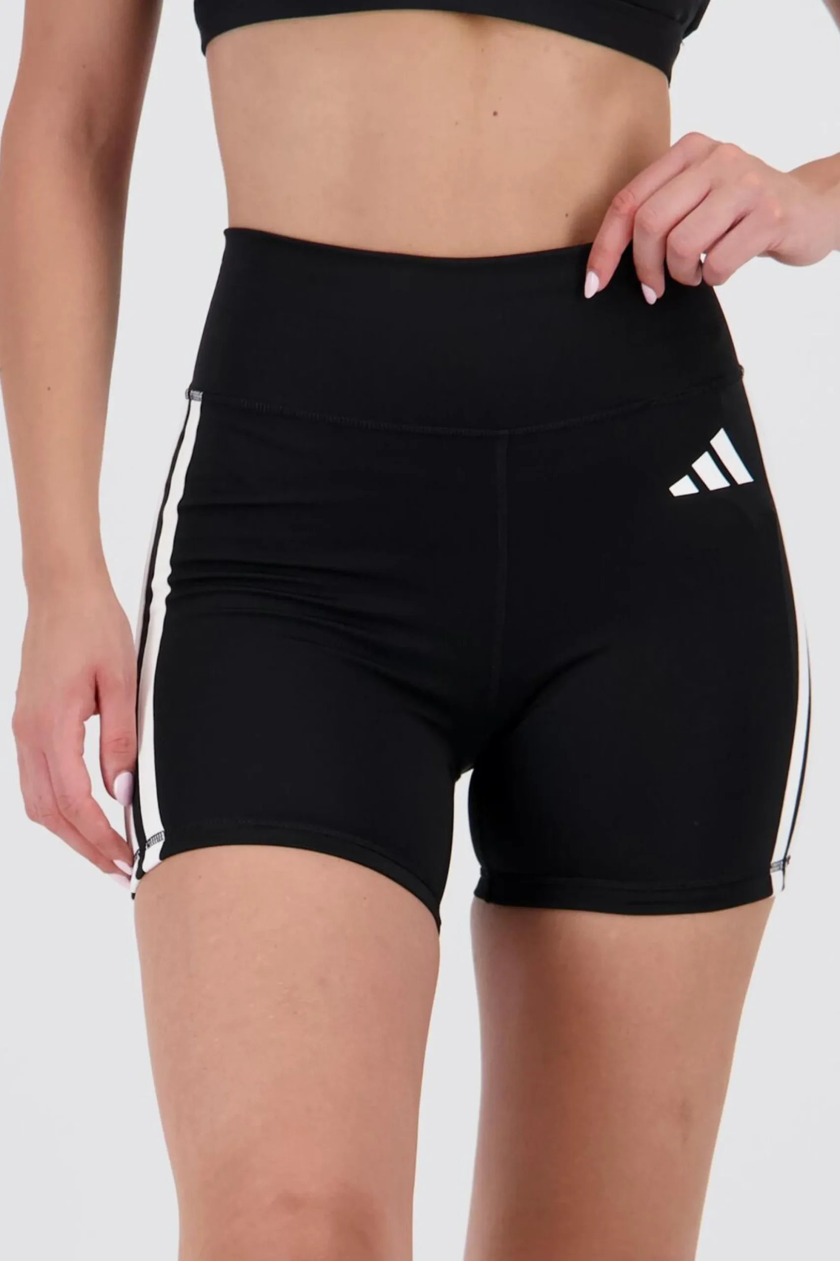 adidas egging Curta