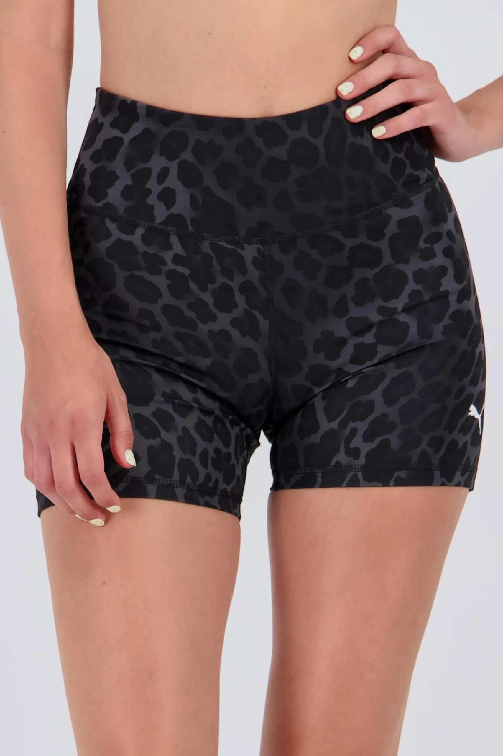 Puma egging Curta
