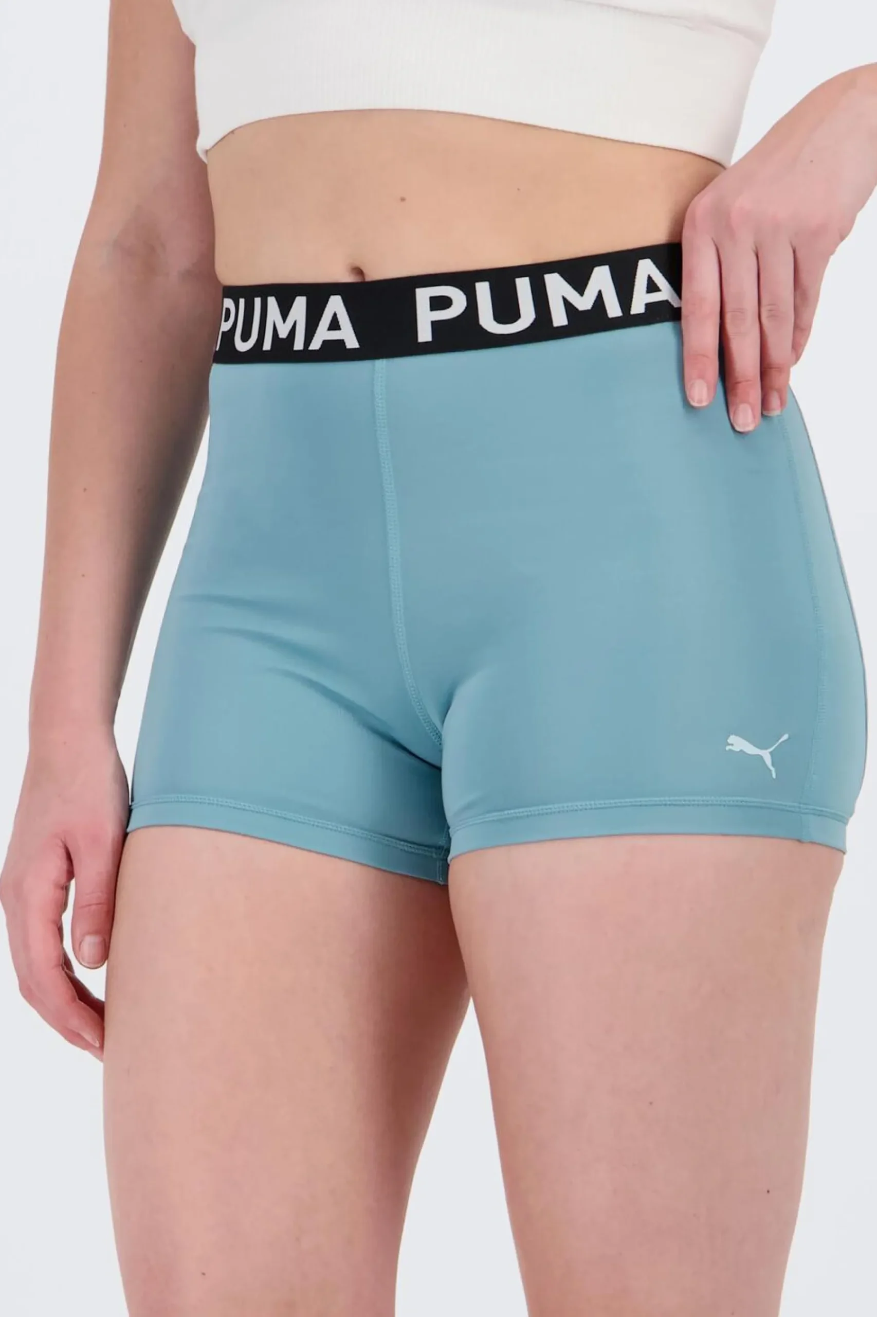 Puma egging Curta