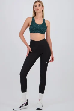 Puma egging 7/8