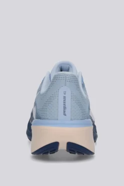 Nike Pegasus 42