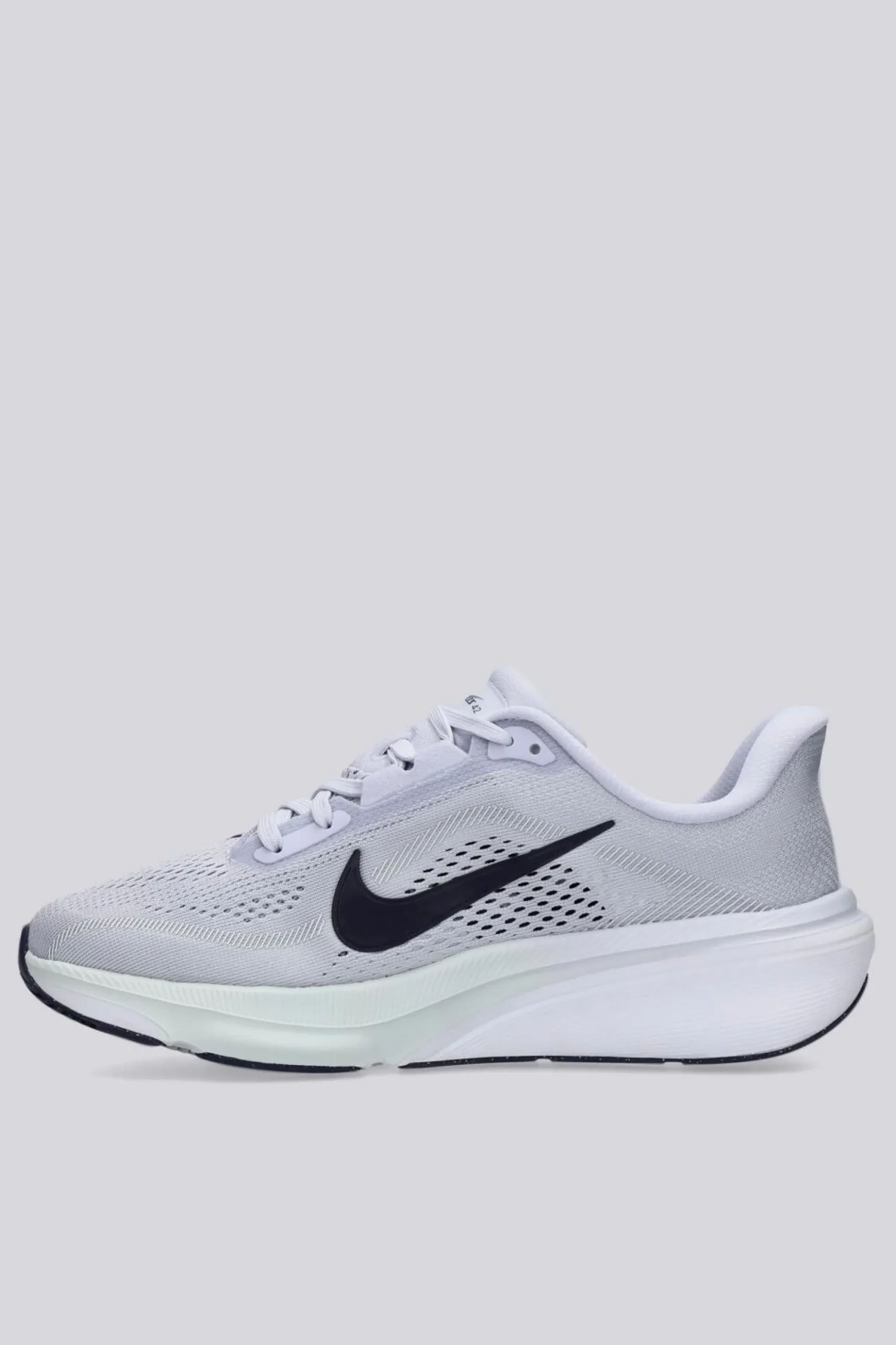 Nike Pegasus 42
