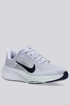 Nike Pegasus 42