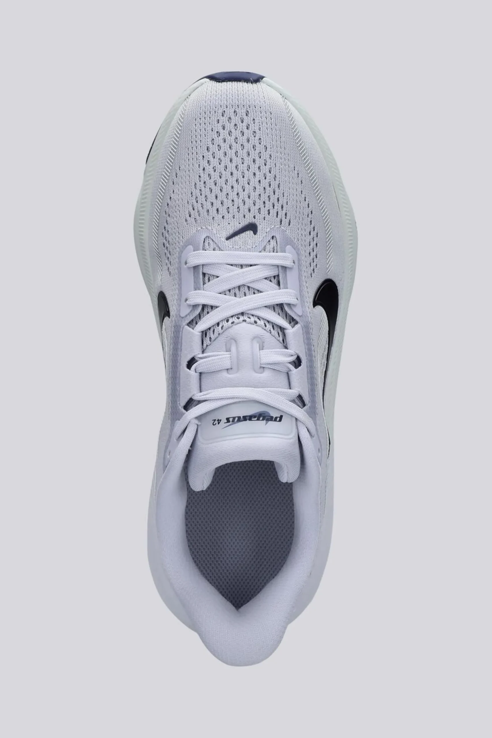 Nike Pegasus 42