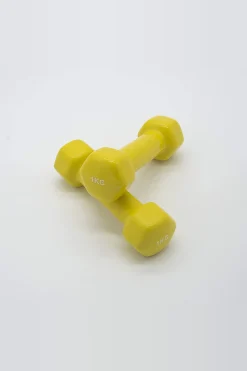 Ozio Fitness Pesos Com Halteres Vinil Fitness 2x.