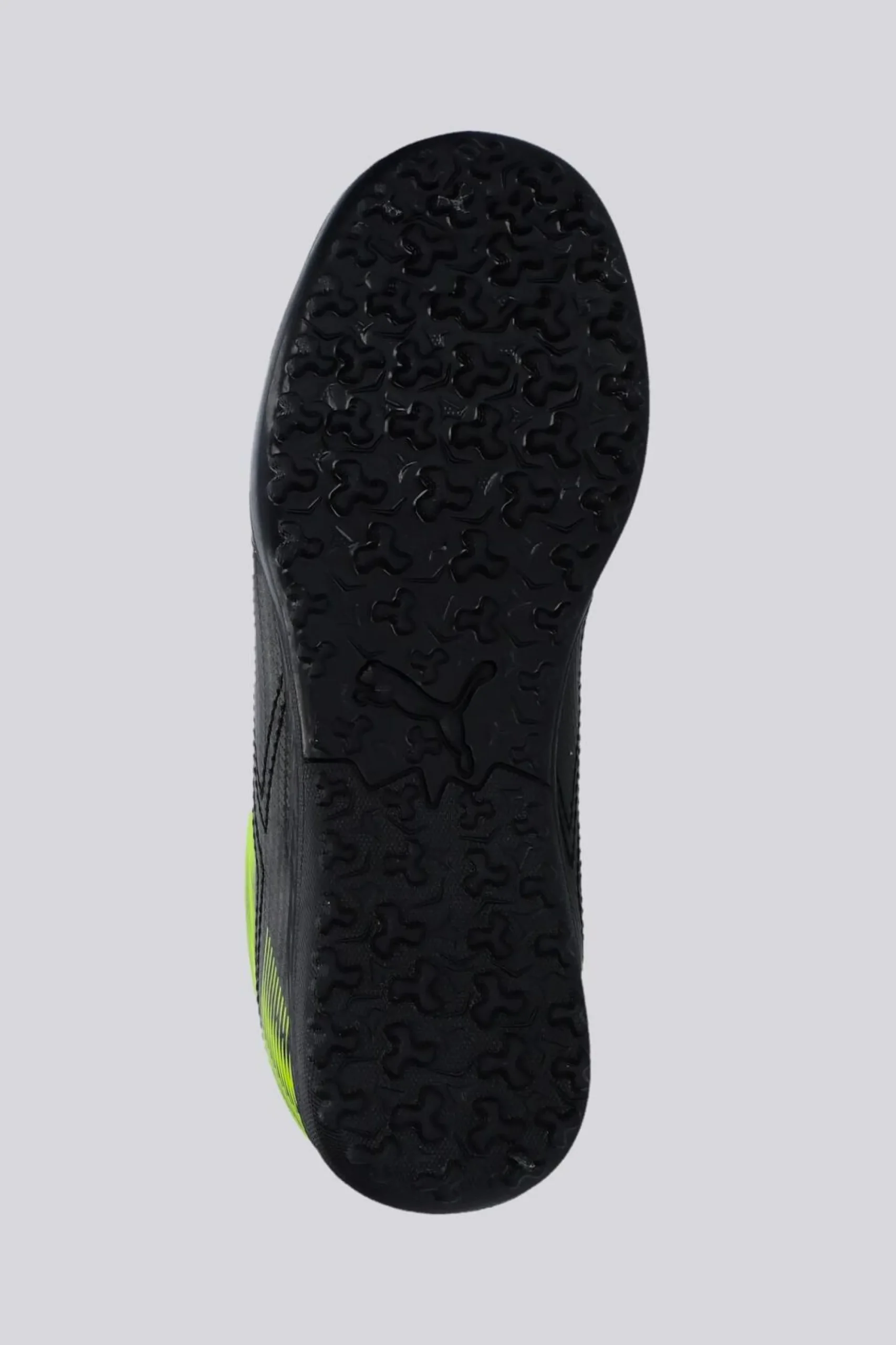 Puma Rapid