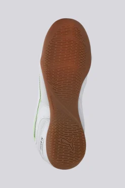 Puma Truco
