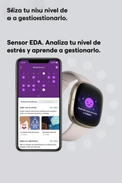 Fitbit Smartwatch Sense