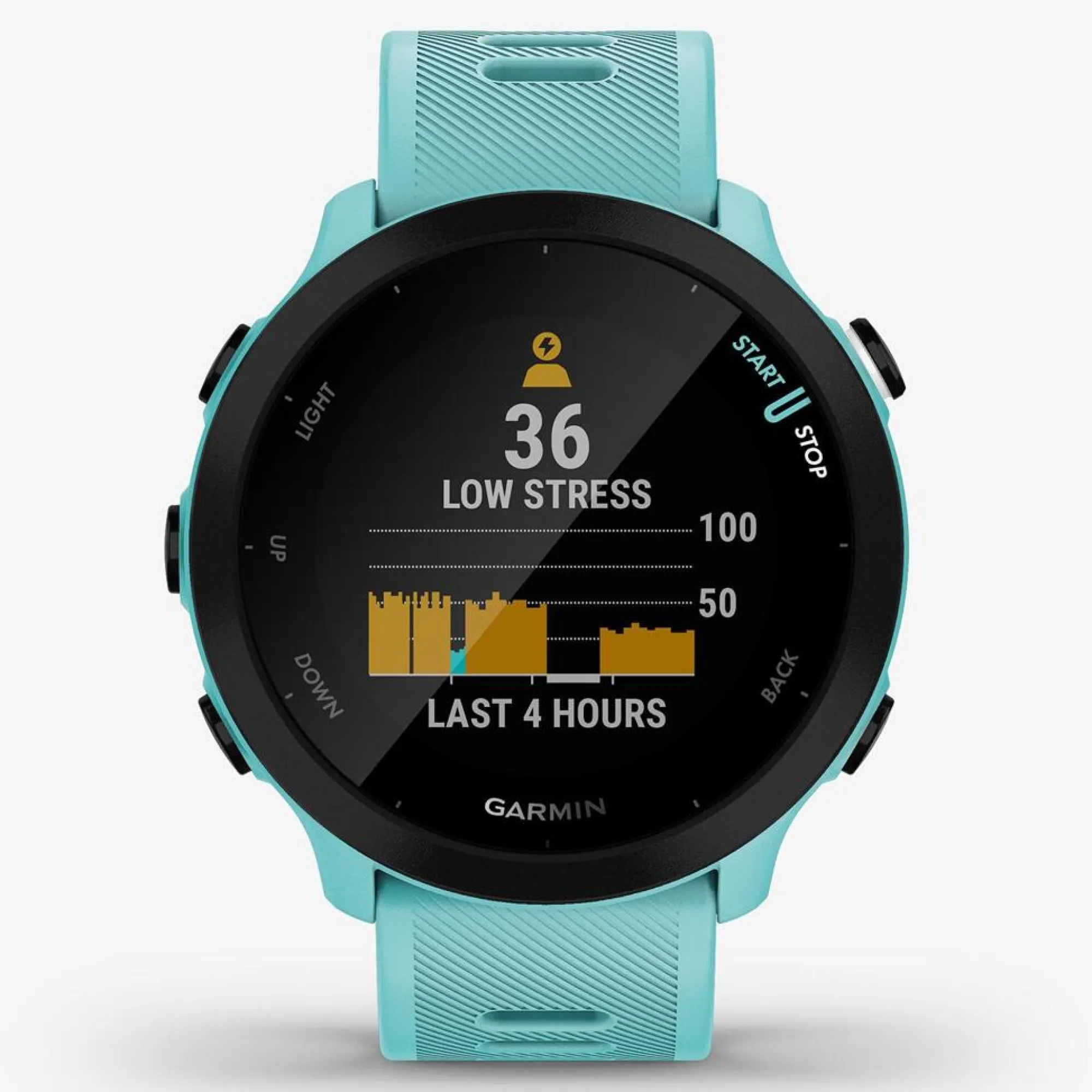 Garmin Smartwatch Forerunner 55