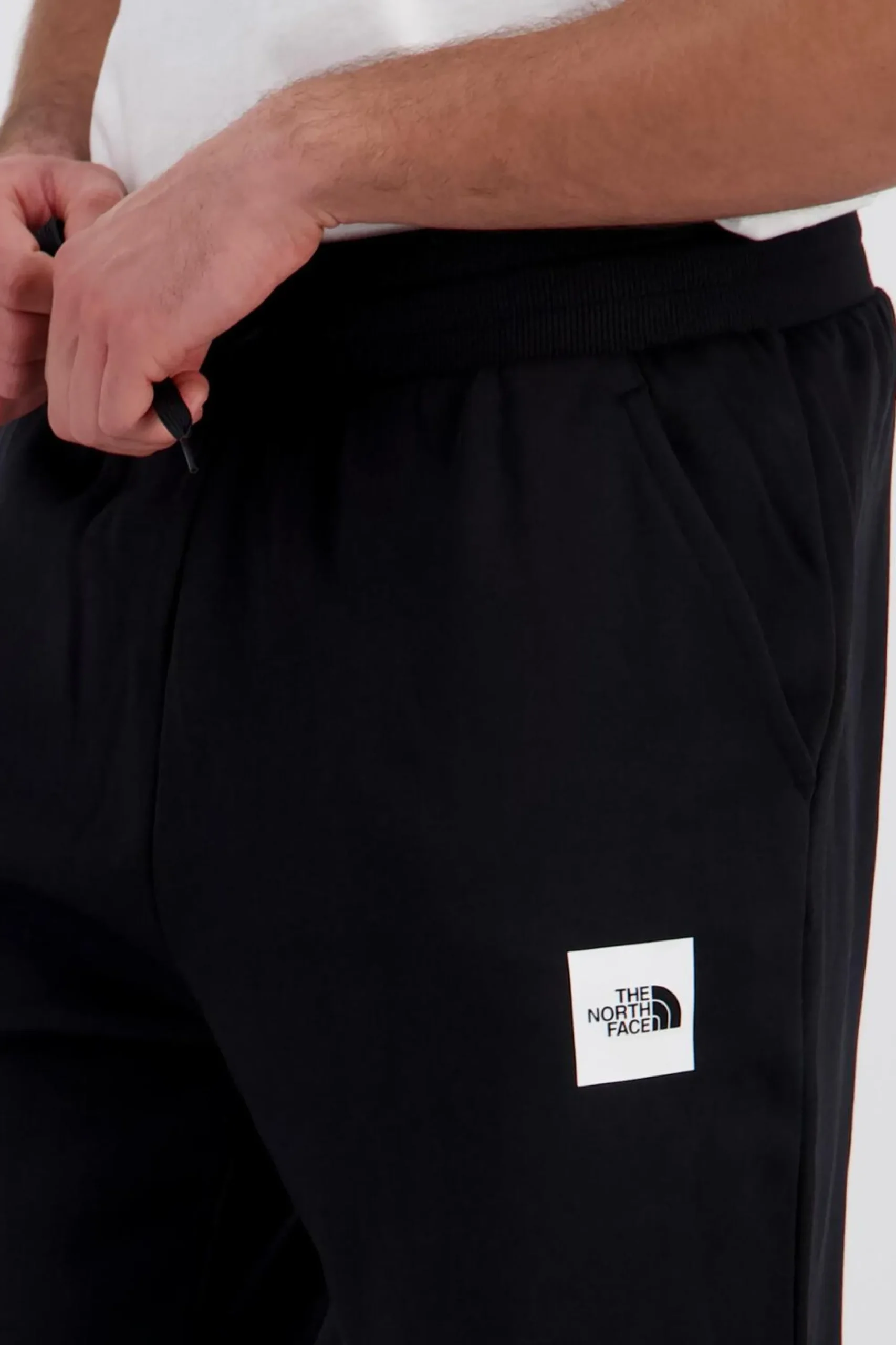 North Face The Fine