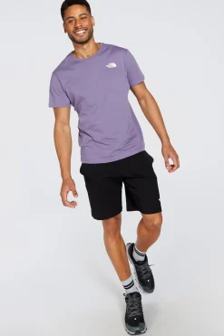 North Face The Graphic