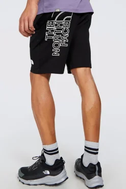 North Face The Graphic